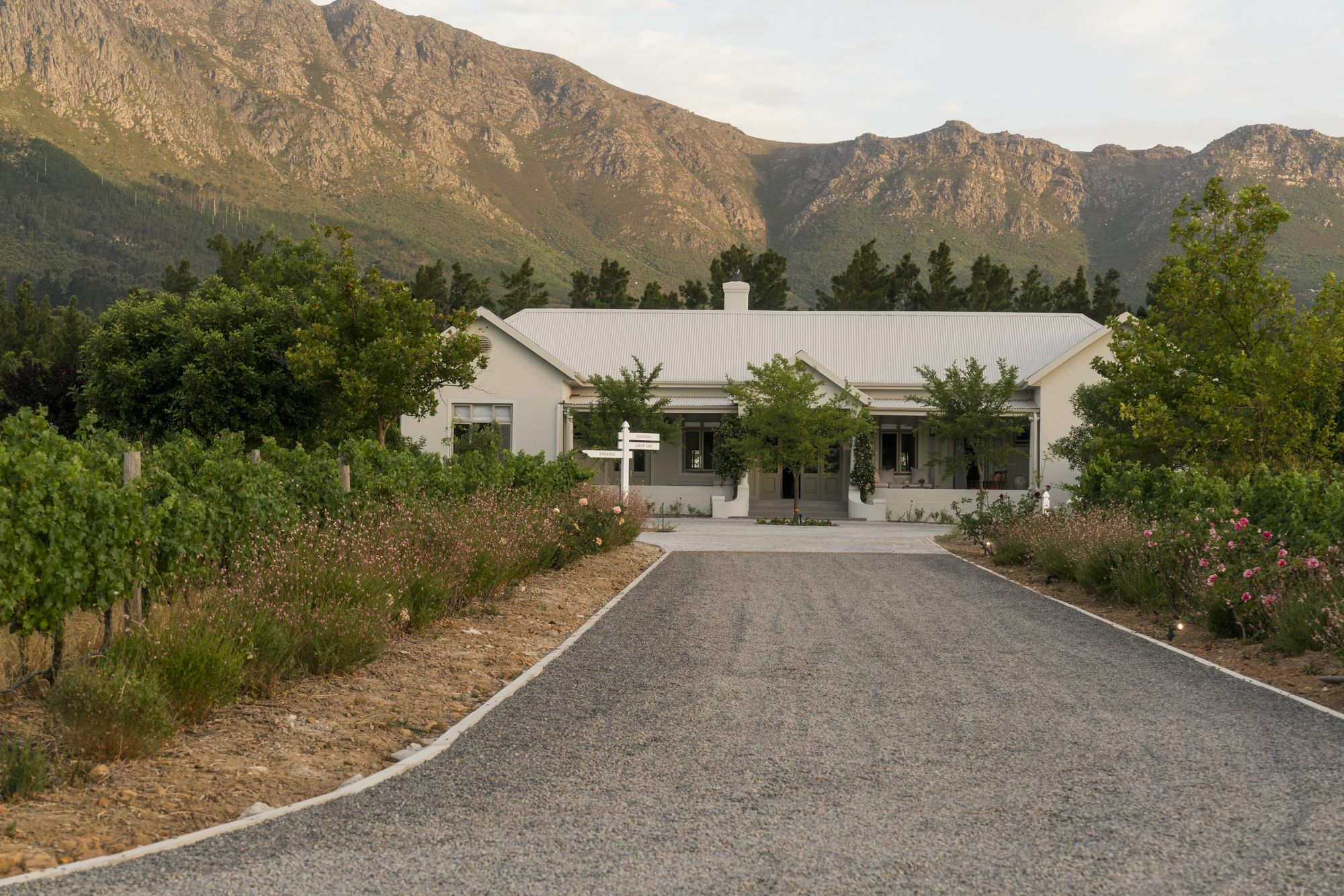 Hotel Cape Vue Country House Franschhoek Esterno foto