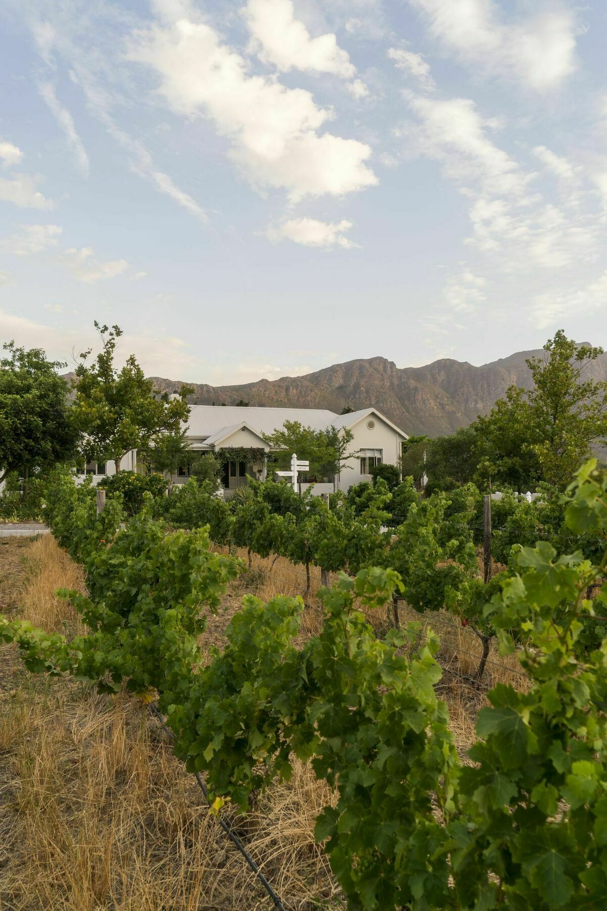 Hotel Cape Vue Country House Franschhoek Esterno foto